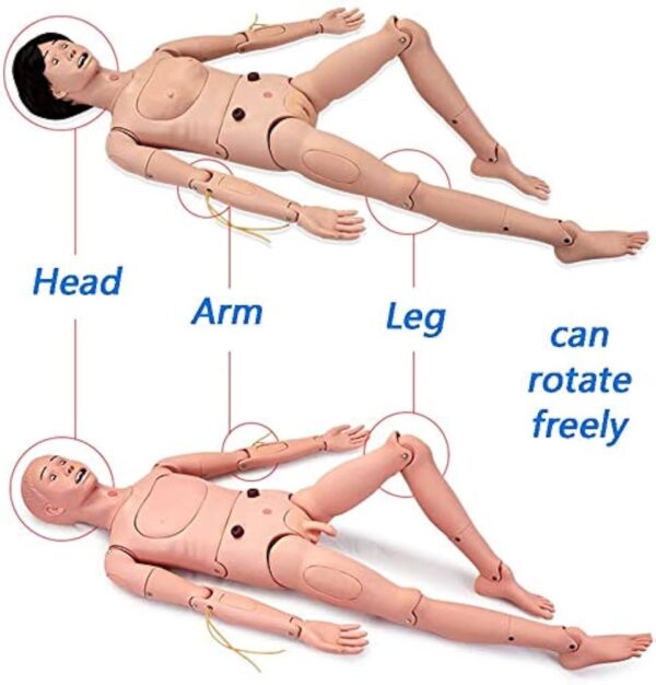 Human dummy for medical training