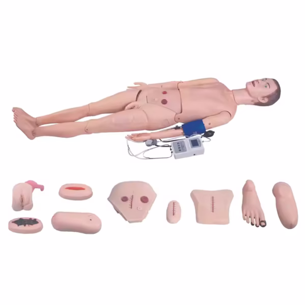 Human Training Nursing Model with a full-functional Blood Pressure Simulator