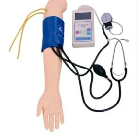 Model Type Working Model Material Stainless Steel Project Subject Anatomic model Color White Brand AV Country of Origin Made in India This model is a simulated right hand. It has remarkable exterior features and precise anatomical structure. Arterial blood pressure measurement training can be run on this simulator.
