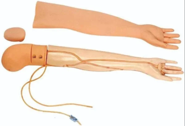 Country of Origin Made in India Type of Product Nursing Manikin Body Part Name IV Arm Practice Mannequin Arm Injection Training Kit Type of Application PVC Skin Type of Size 58cm*23inch An superb tool for realistic simulation, this practise arm closely resembles the appearance and texture of human skin. Durable Design: Made of strong, long-lasting materials that can survive multiple injections and heavy use. Versatile Use: Effective for a variety of medical procedures, including blood draws, subcutaneous injections, and intravenous (IV) insertion. Realistic Blood Flow: Some models have a blood circulation system that simulates real blood flow, letting users practise finding veins and feeling the resistance they may experience when injecting. Non-Toxic Materials: To ensure user safety, products are made using secure, non-toxic materials. The mannequin arm is frequently movable, enabling you to imitate various patient situations and provide more dynamic training settings. Easy to Maintain: Made to be simple to maintain and clean, assuring cleanliness during training sessions.