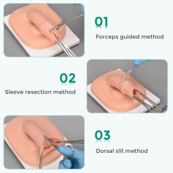 Adult Male Circumcision Trainer Kit for Medical Students, Circumcision Simulator Set with Circumcision Tools for Practice Training-Light