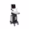 Monitor and Design: 17-inch high-definition LED monitor with an articulating arm. Compact and agile trolley design. Three active transducer sockets for a wide range of applications. Imaging Capabilities: Color Doppler capabilities. New 3D/4D workflow and technology. Steer M imaging (Anatomic M mode) and Color M imaging. Embedded IMT (Intima-Media Thickness) software for automatic edge detection and measurement of mean and maximum thickness. Applications: Versatile applications suitable for daily diagnosis. Specific applications for Cardiology, Obstetrics & Gynecology. Usability: Customizable settings to suit individual working styles. Easy-to-use system integrated with a new software platform. Technical Specifications: The system's technical specifications are detailed in a dedicated document (901-01656-A06 S12 Technical Specifications). Includes features like Print DICOM 3.0 interface and options for exporting system files to USB or DVD.