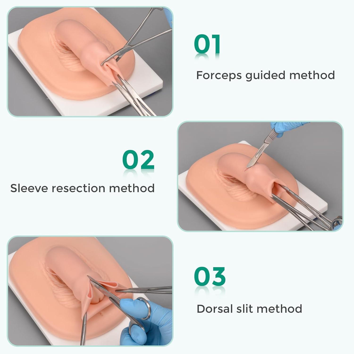 Adult Male Circumcision Trainer Kit for Medical Students, Circumcision Simulator Set with Circumcision Tools for Practice Training-Light2 Adult Male Circumcision Trainer Kit – Medium | Circumcision Simulator Set with Practice Tools for Medical Students