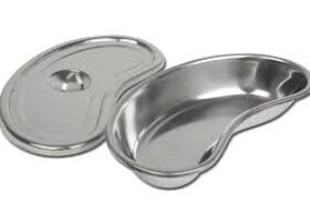 Kidney Dish / Emesis Basin 250 × 140 × 40 mm – Stainless Steel